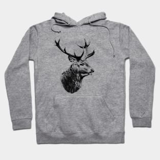 Deer portrait Hoodie